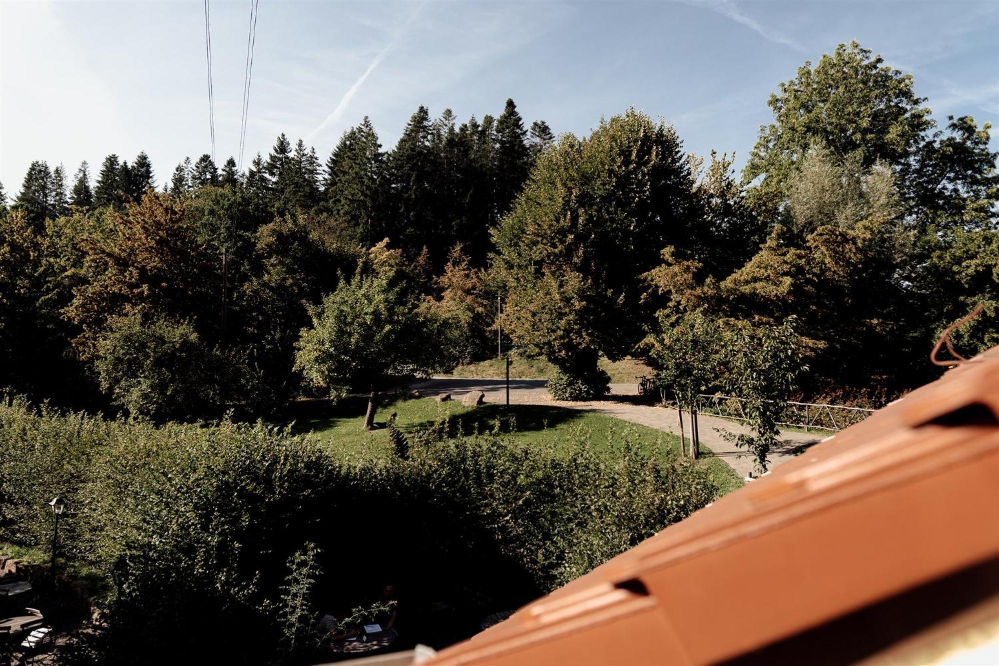 Hotel Dammuehle Marburg Εξωτερικό φωτογραφία